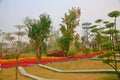 Green Expo Garden in Zhengzhou