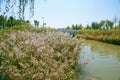 Green Expo Garden in Zhengzhou