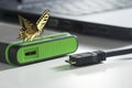 Green external hard disk with mini usb cable and yellow butterfly, the green energy concept