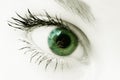 Green eye Royalty Free Stock Photo