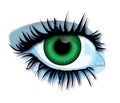 Green eye Royalty Free Stock Photo