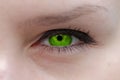 The green eye