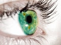 Green eye Royalty Free Stock Photo