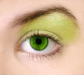 Green Eye Royalty Free Stock Photo