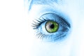 Green eye Royalty Free Stock Photo