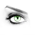 Green eye Royalty Free Stock Photo