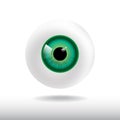 Green eye ball on white background Royalty Free Stock Photo