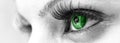 Green Eye - Beautiful, Feminine