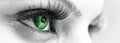 Green Eye - Beautiful, Feminine Royalty Free Stock Photo