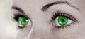 Green Eye - Beautiful, Feminine Royalty Free Stock Photo