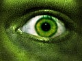 Green Eye Camouflage Royalty Free Stock Photo