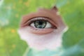 Green eye close-up with a green frame. Beauty concept. Picture for wallpaper