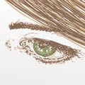 Green eye for cosmetics,makeup Royalty Free Stock Photo
