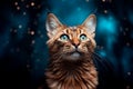 Green Eyed Cat Portrait on Dark Blue Bokeh Background. Generative AI. Royalty Free Stock Photo