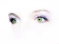 Green eyes Royalty Free Stock Photo