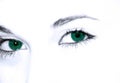 Green eyes Royalty Free Stock Photo