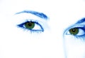 Green eyes Royalty Free Stock Photo