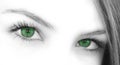 Green Eyes Royalty Free Stock Photo
