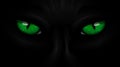 Green eyes black Panther on dark