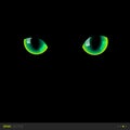 Green eyes in darkness. Vector illustration.