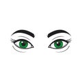 Green eyes - illustration. beauty woman. makeup