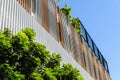 Green facade, vertical garden in architecture