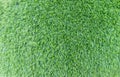 Green fake grass texture or background and copy space