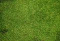 green false grass texture background