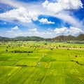 Green farm with blue sky