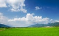 Green farm with blue sky and white clouds