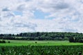 Green farm field and forestation with sky and clouds