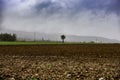 Green farm fields and trees in Greece Royalty Free Stock Photo