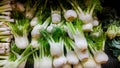 Green at the farmers market display, fresh raw organic fresh vegetables on marketplace Royalty Free Stock Photo