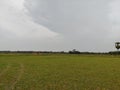 Green farmland & agricultural land with clear sky