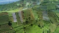 Green farmland with terraced system