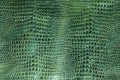 Green faux python skin snakes, crocodile, trend, fashion, background