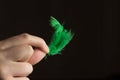 Green feather isolated on black background cutout Royalty Free Stock Photo