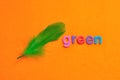 A green feather with the word green Royalty Free Stock Photo