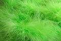 Green feathers background - stock photo Royalty Free Stock Photo