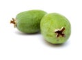 Green feijoa fruit