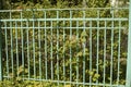 Green fence made of steel rods. Fence around park. Details of territory Royalty Free Stock Photo