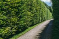 Green fences along the path