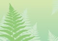 Green fern background