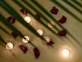 a green fern leaf in the foreground, and in the background a bubble bath with rose petals and candles. Royalty Free Stock Photo