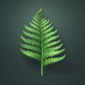 Green Fern Leaf Illustration: Simple, Colorful, And Realistic