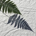 A green fern leaf (Polypodiopsida class) rests on a textured white fabric, casting a distinct Royalty Free Stock Photo