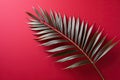 Green fern leaf on red background, one palm leaf on red background with copy space. Royalty Free Stock Photo