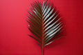 Green fern leaf on red background, one palm leaf on red background with copy space. Royalty Free Stock Photo