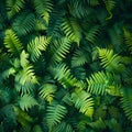 Green fern leaves amidst a dark natural environment