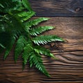 Green fern leaves on old wooden background,  Top view with copy space Royalty Free Stock Photo